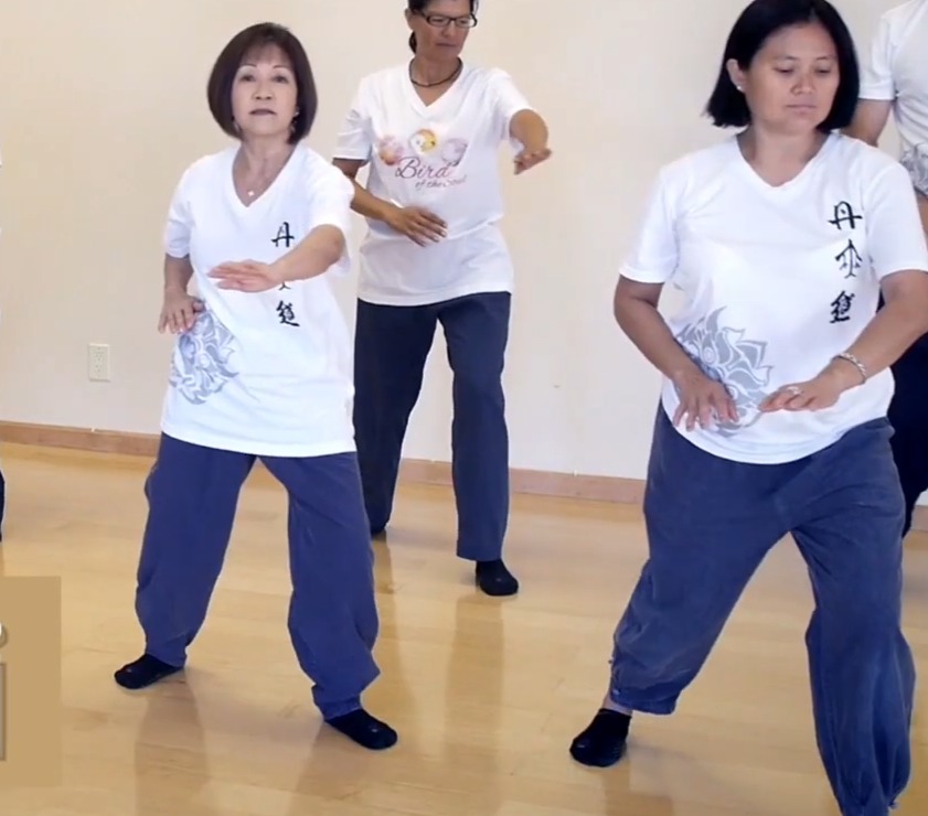 Women practicing Qigong and Tai Chi