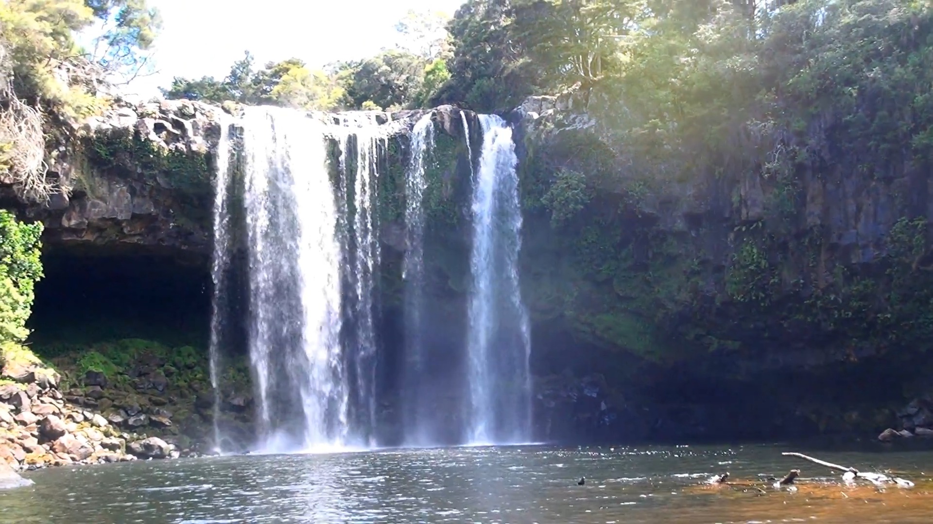 Rainbow Falls waterfall surrounded by greenery in New Zealand